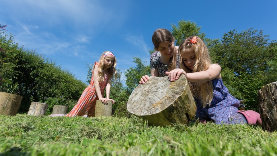 WWT Martin Mere Announces New Wet Meadow Habitat and Self-Guided Bug Hunt Experience